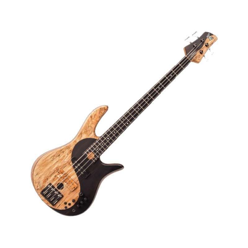 Fodera bass outlet yin yang