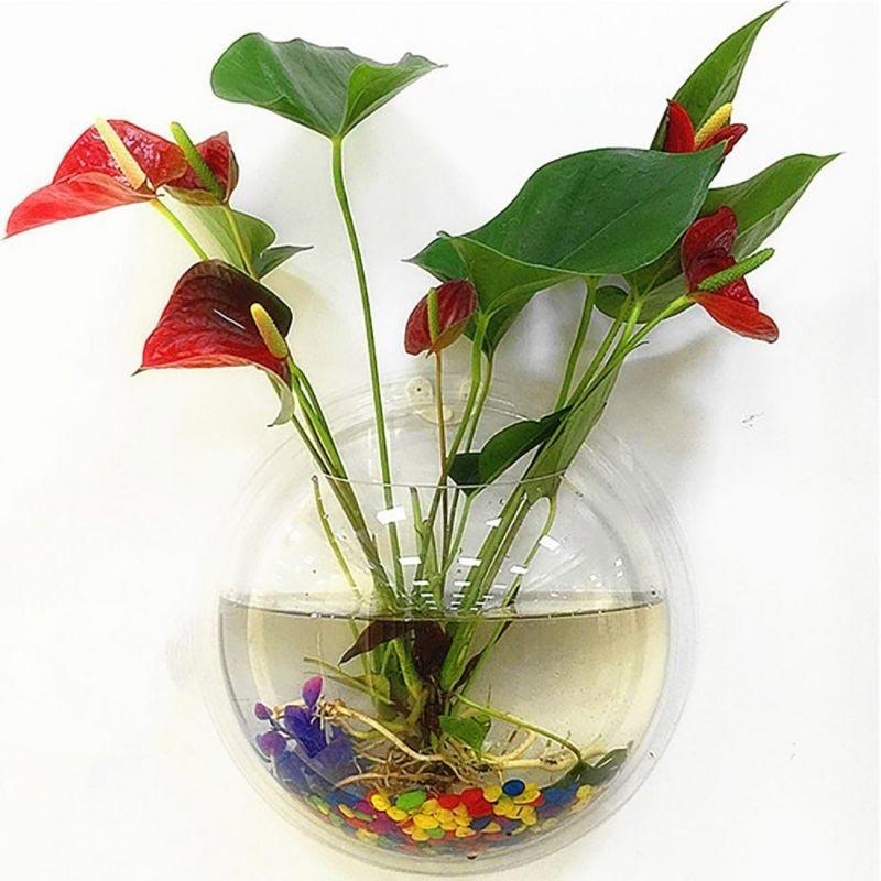 Jual Bluelans Creative Wall Mounted Clear Acrylic Round Fish Tank