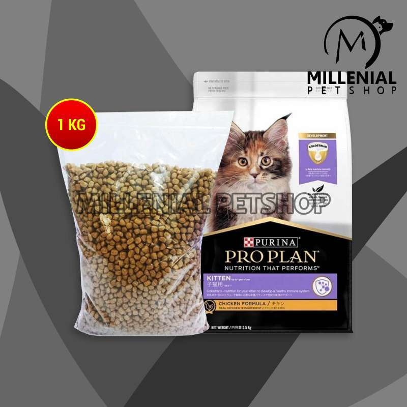 Harga pro sales plan kitten repack