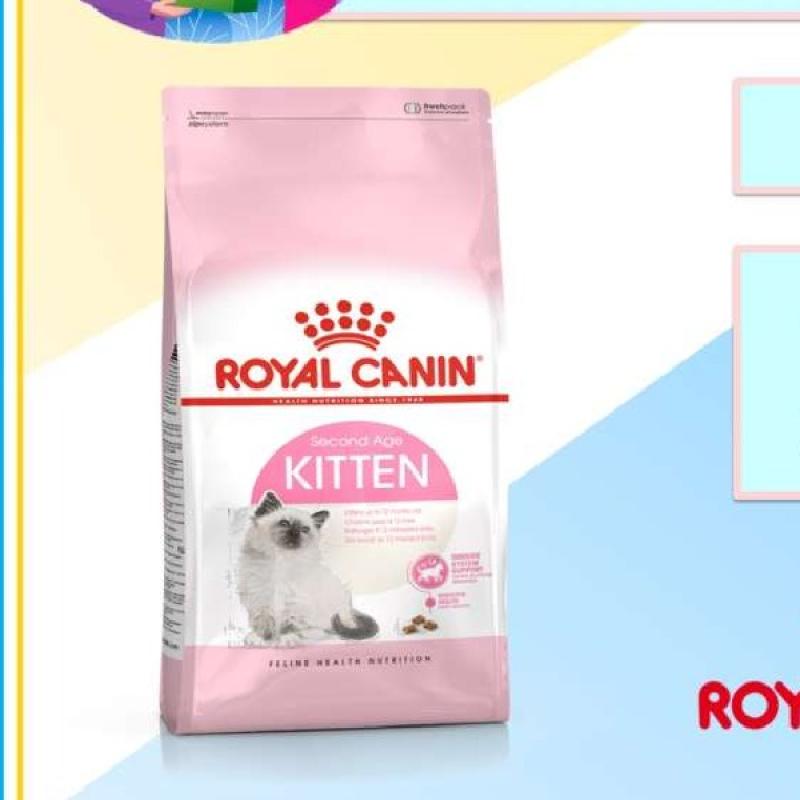 Royal canin kitten sales second age 10kg