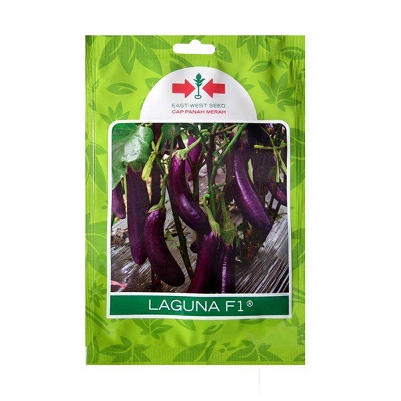 Promo Panah Merah Benih - Biji Terong 