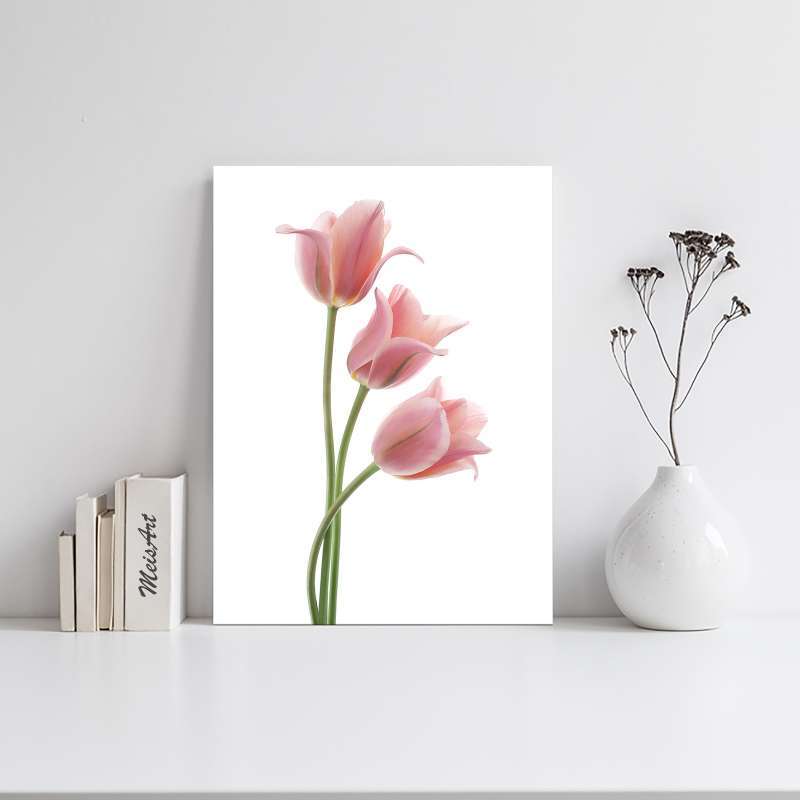 Jual Hiasan Dinding Rumah Minimalis Bunga Tulip Online Maret 2021 Blibli