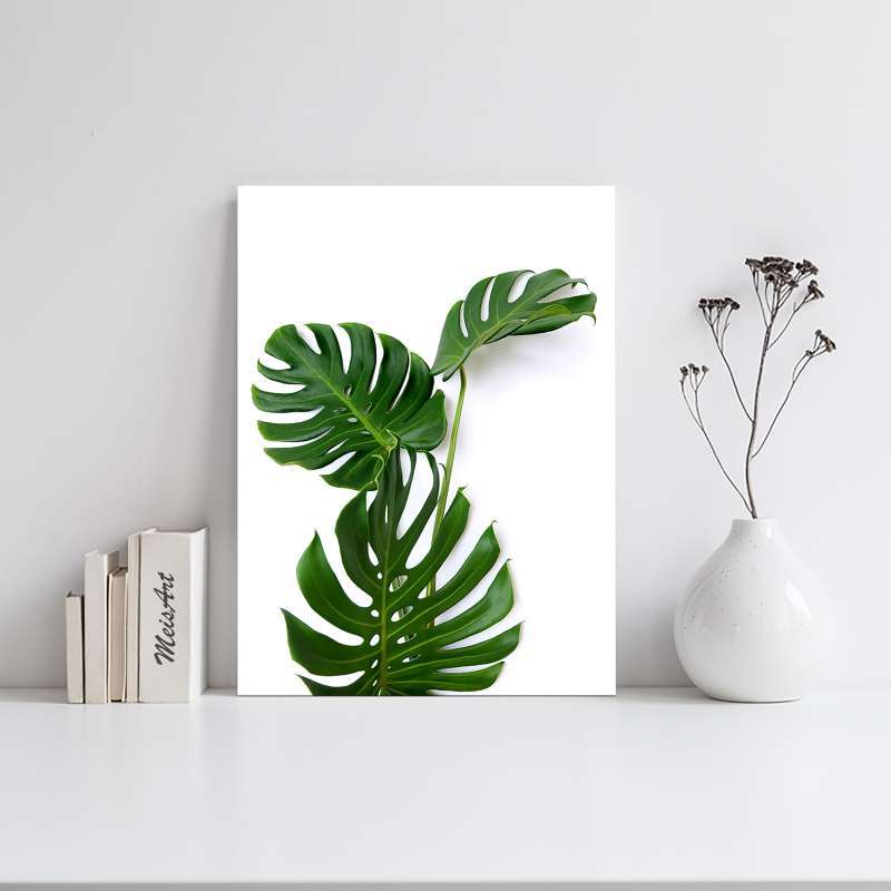 Jual Meisart Walldecor Hiasan Dinding Ruang Tamu Minimalis Daun Monstrea Murah September 2020 Blibli Com