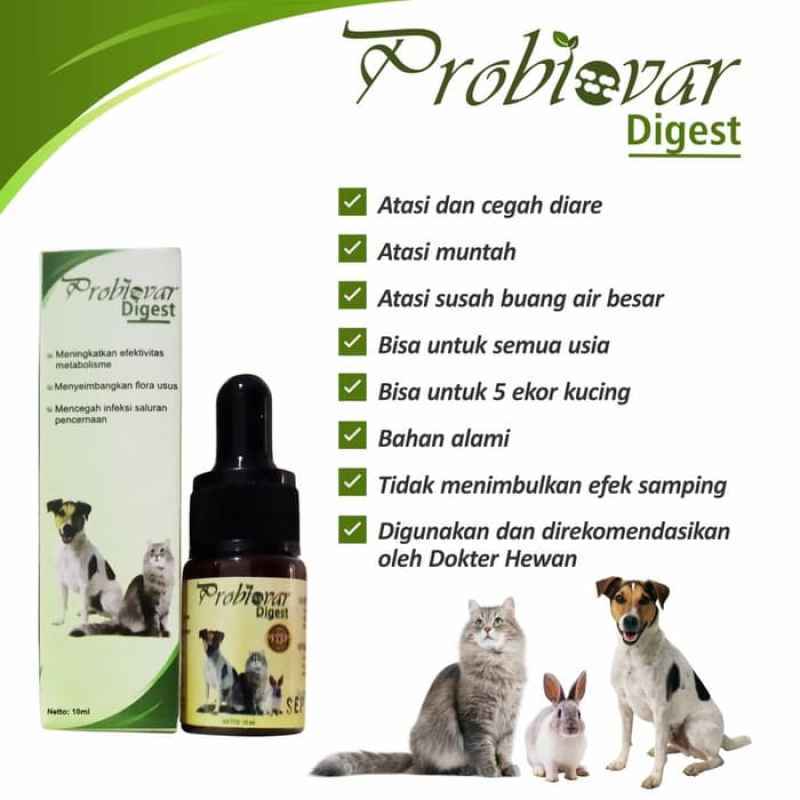 Obat Diare Mencret Susah Bab Kucing Anjing Kelinci Natural Organik Terbaru Agustus 2021 Harga Murah Kualitas Terjamin Blibli