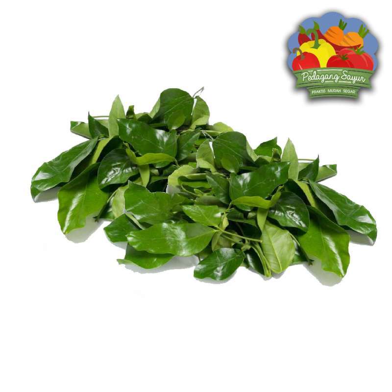Pedagang Sayur Daun Melinjo 150 Gram Terbaru Juli 2021 Harga Murah Kualitas Terjamin Blibli