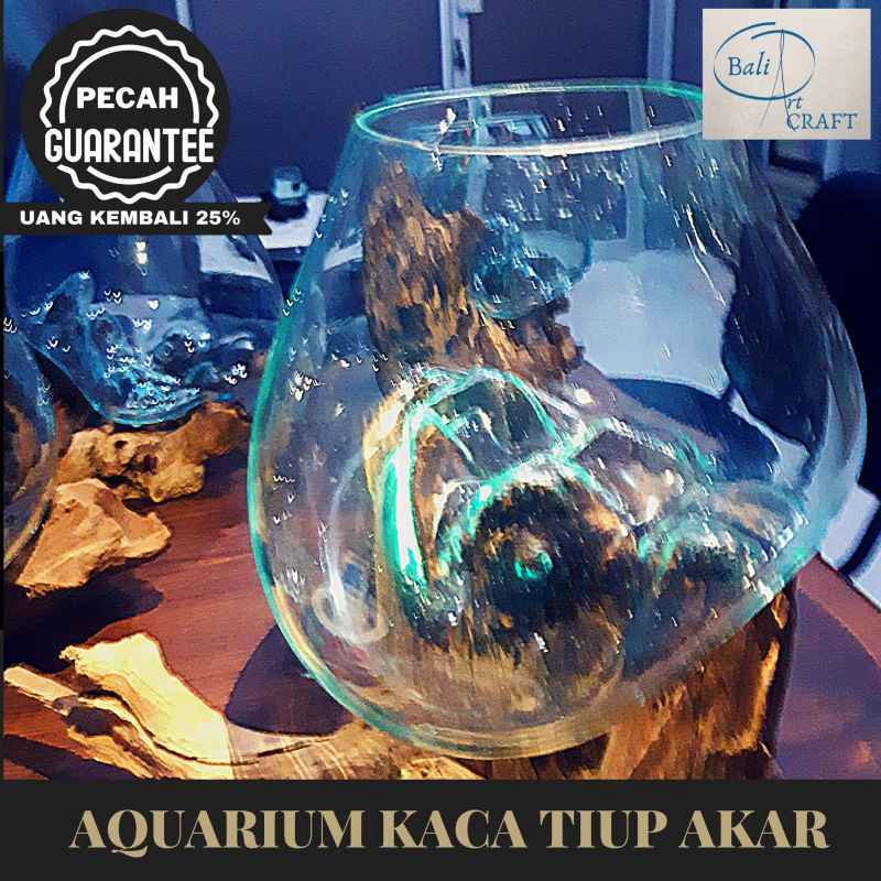 Jual Akuarium Ikan Cupang Mini 15 Cm Kaca Tiup Akar Bali Aquascape Aquarium Unik Glasswood Wooden Craft Ikan Hias Ready Stock Pot Vas Online Maret 2021 Blibli