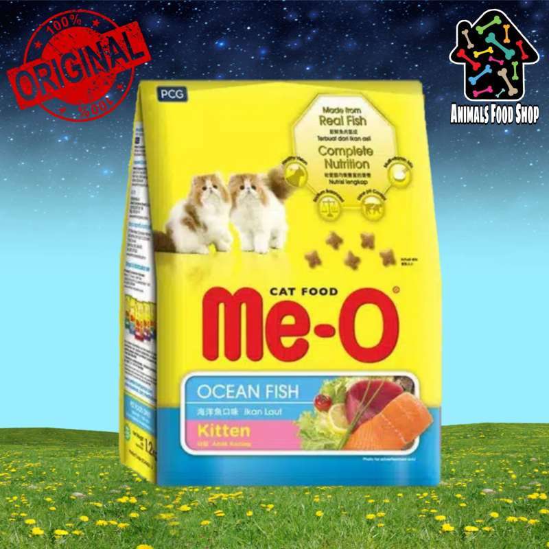 Meo kitten hot sale ocean fish