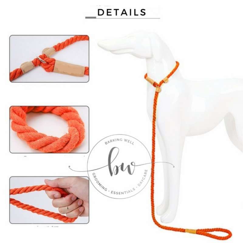slip collar leash