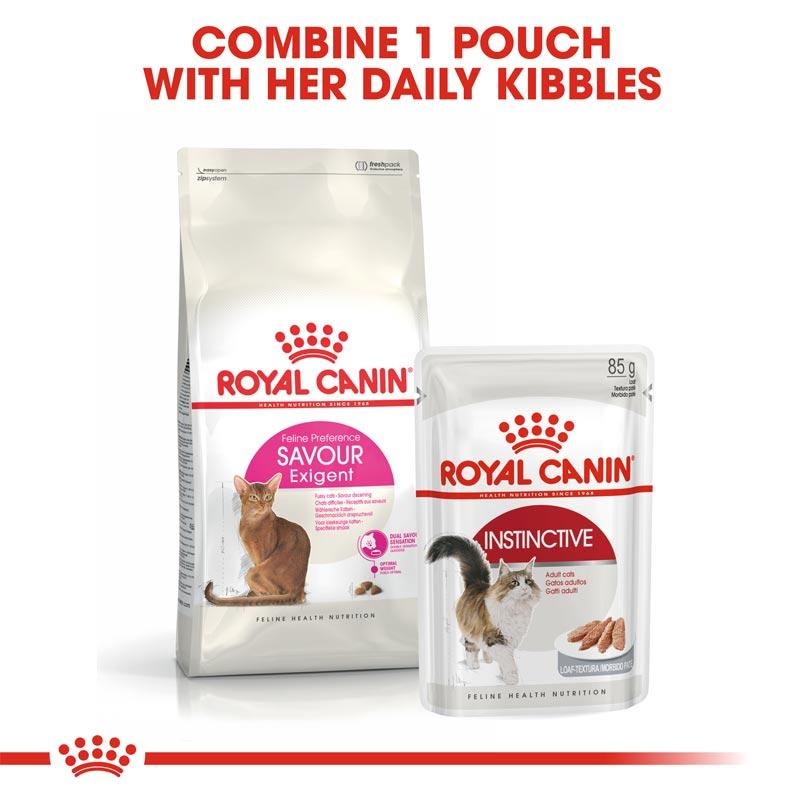 Harga Makanan Kucing Royal Canin 2kg