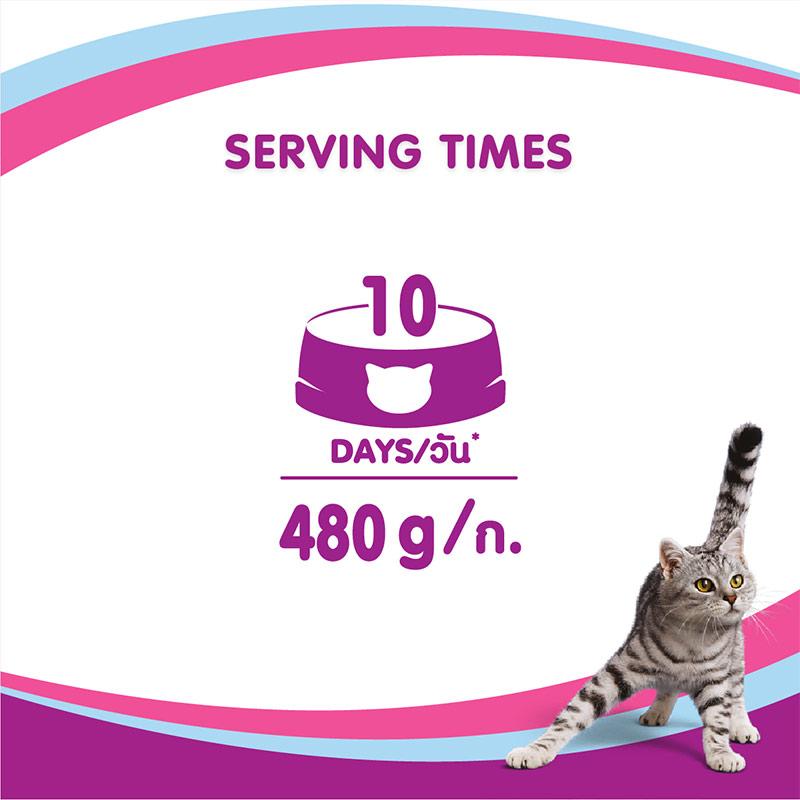 Jual Whiskas Makanan Kucing Kering Dewasa Rasa Tuna 480 G 1 Bag Online Desember 2020 Blibli
