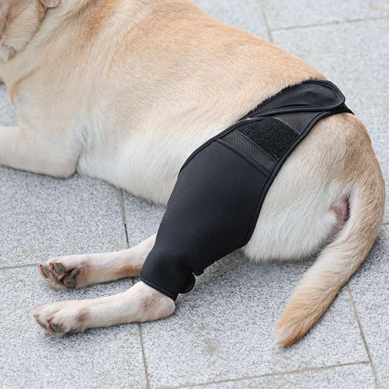 diy dog elbow pads