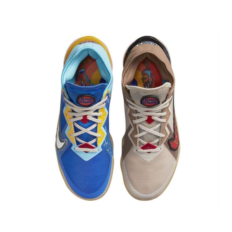 wile e roadrunner lebron