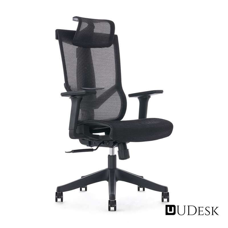 Ergochair core discount