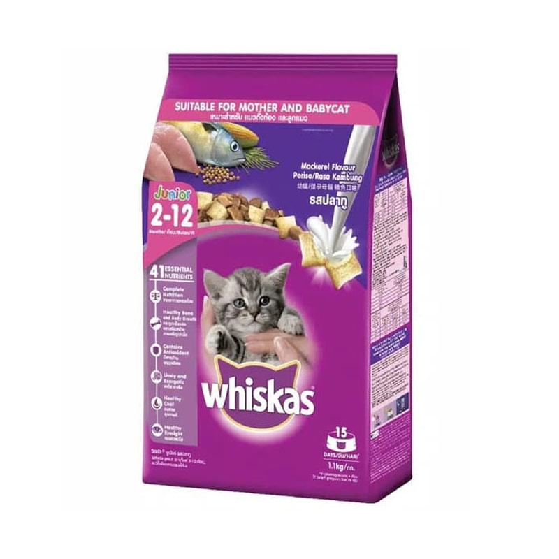 Jual Whiskas Junior Mackerel 1 1kg Makanan Kucing Kering Kitten Online September 2020 Blibli Com