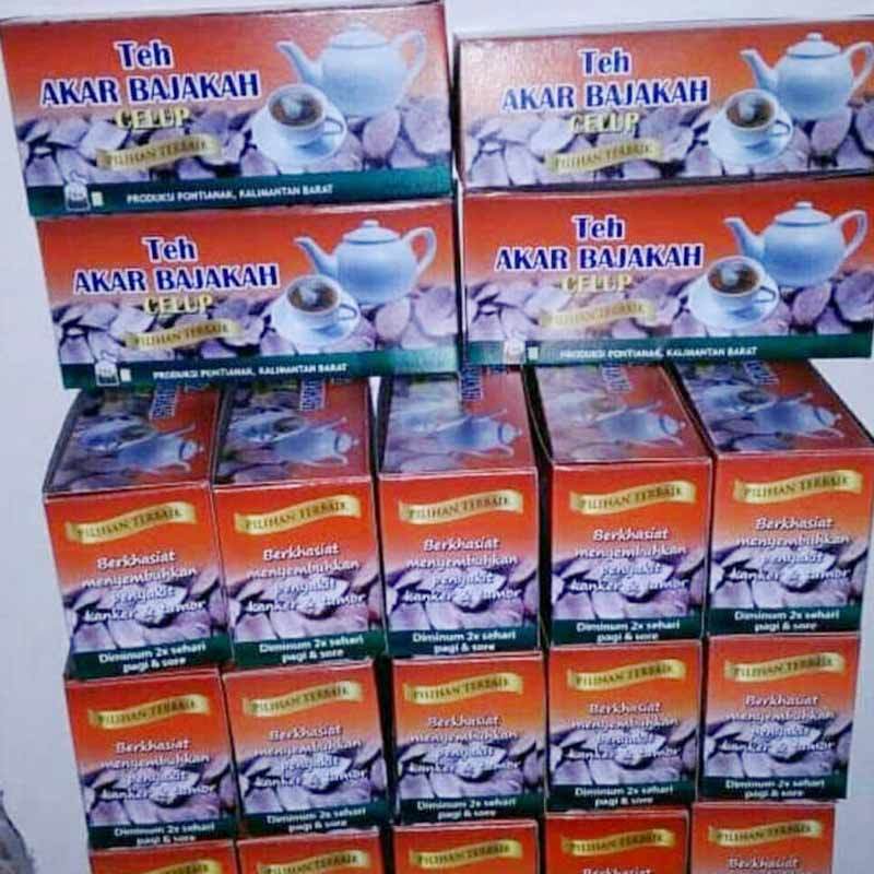 Jual Teh Akar Bajakah Obat Kanker Tumor Asli Kalimantan Isi 25 Pcs Online Oktober 2020 Blibli Com
