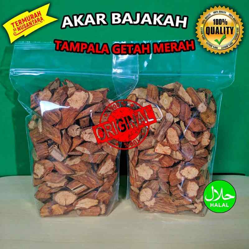 Jual Akar Bajakah Tampala Kalimantan Spatholobus Ferrugineus 1kg Termurah Online Oktober 2020 Blibli Com