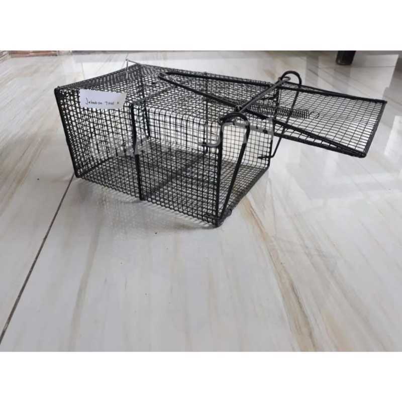 Jual Jebakan Tikus Hitam K Online Maret 2021 Blibli 256 likes · 13 talking about this. jebakan tikus hitam k