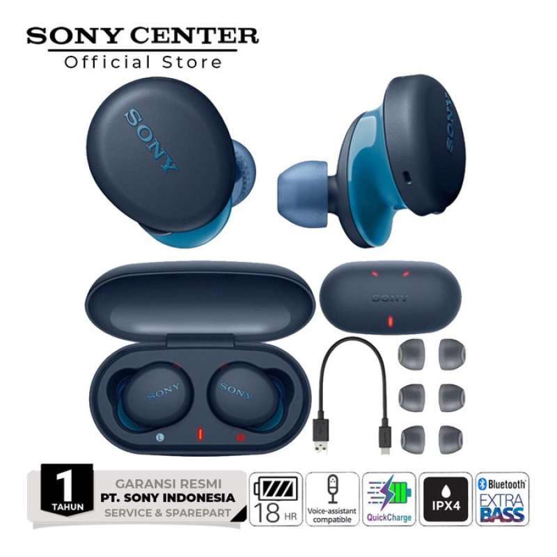 Sony Wf Xb700 Truly Wireless Headphones 
