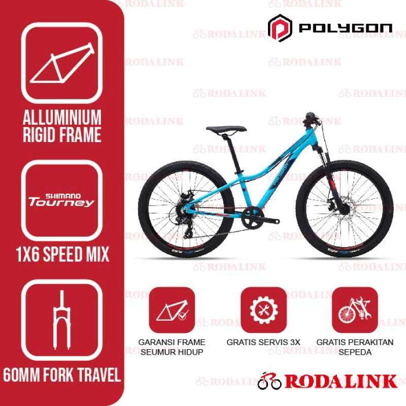 Harga polygon relic new arrivals 24