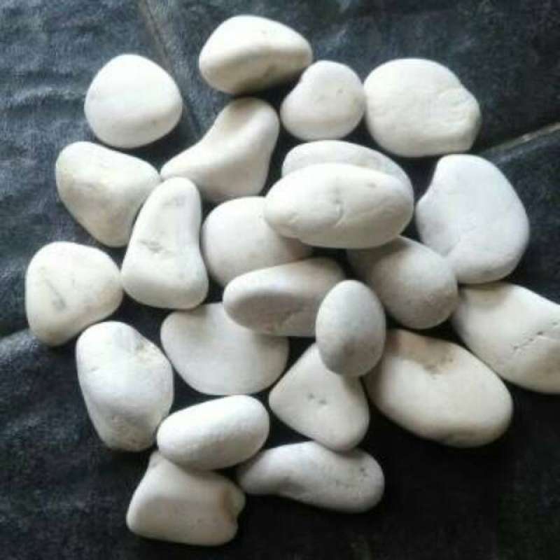 Promo Batu Coral Batu Koral Batu Putih Batu Hiasan Aquascape Batu Hiasan Tanaman 1 Kg Di Seller Volcano Shop Kota Jakarta Barat Dki Jakarta Blibli
