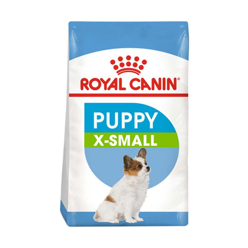 small puppies small puppies