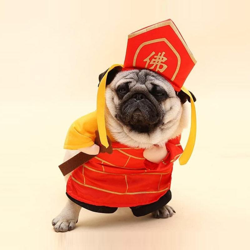 Jual Luvelli Shaolin Baju Hewan Peliharaan For Kucing Anjing