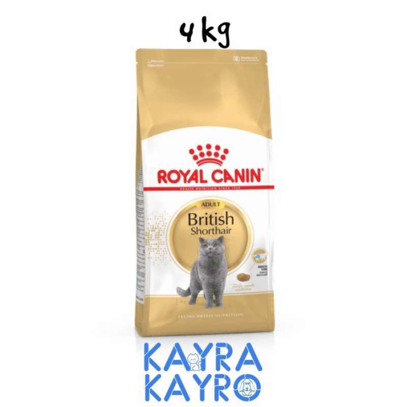 Jual Royal Canin Adult British Shorthair Cat 4 kg Makanan Kucing