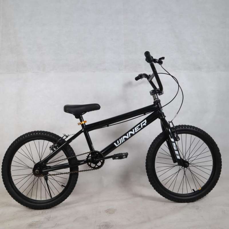Bicicleta aro 20 discount jumbo