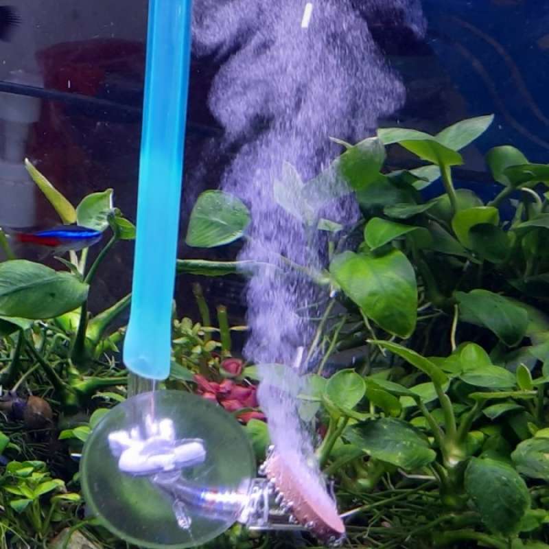 Diffuser deals co2 aquascape