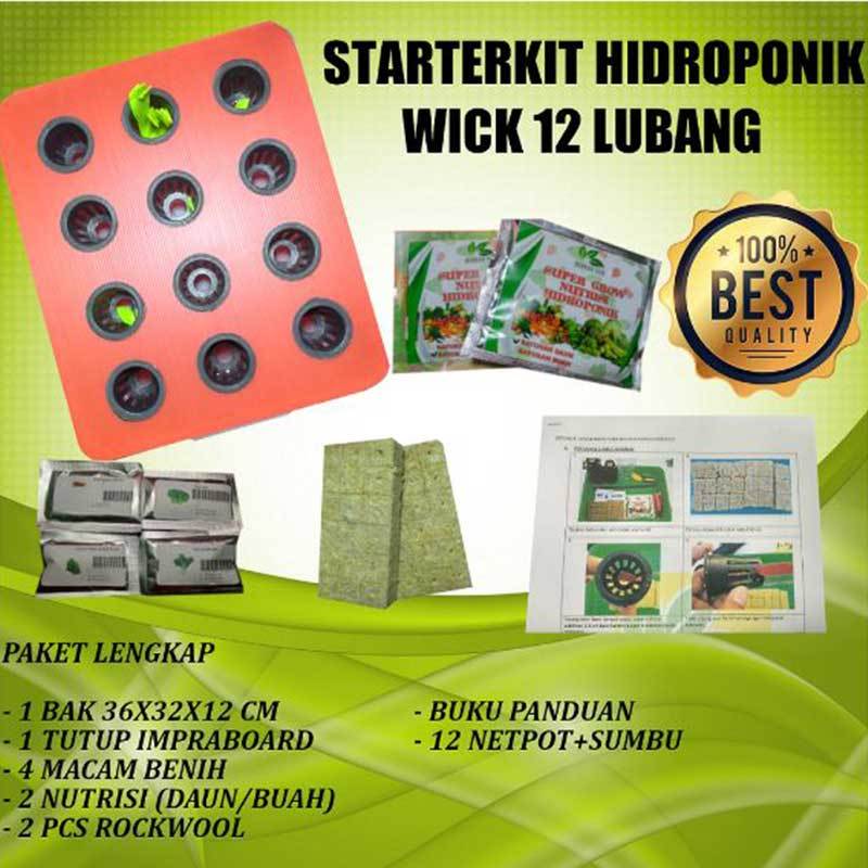 Jual Starter Kit Hidroponik Sistem Wick 1 Set 12 Lubang Paket Hidroponik Pemula Online Oktober 2020 Blibli Com