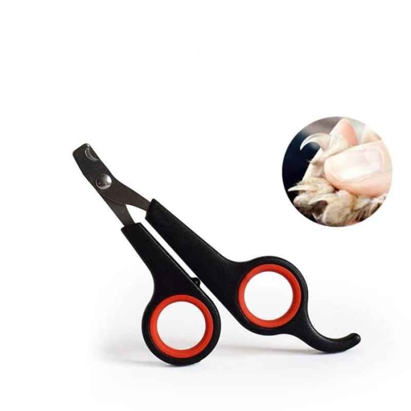 Sugar glider nail trimmer 2025