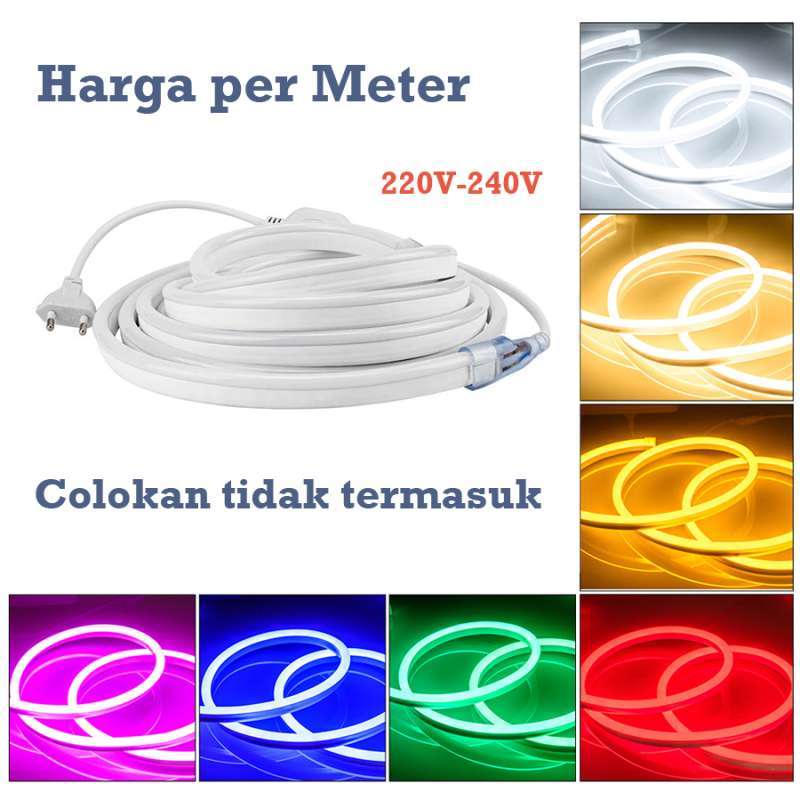Neon flex shop 220v