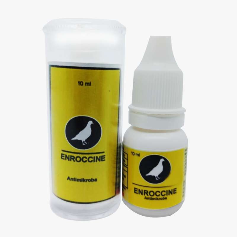 Jual Raja Ngorok Merpati Obat Anti Ngorok Khusus Merpati Di Lapak Wandy Haryanto Bukalapak