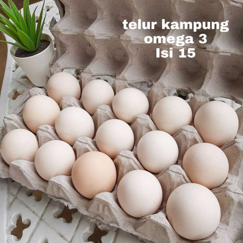 Jual Telur Tambun Omega 3 Telur Ayam Kampung 15 Butir Online Januari 2021 Blibli