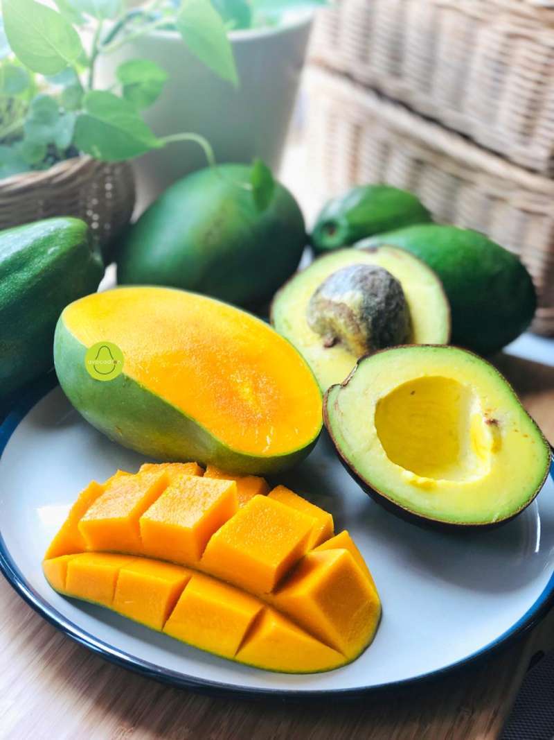 Jual Resep Paket Mix Alpukat Reguler Dan Mangga Harum Manis Avocadron Online Oktober 2020 Blibli Com