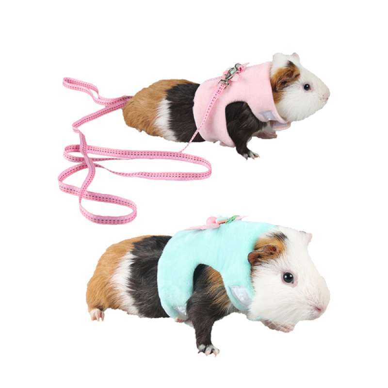 chinchilla harness