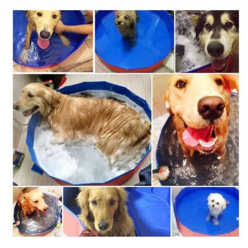 Jual 2x Puppy Swimming Pool Pet Dogs Bathtub For Dogs And Cats Indoor Outdoor Online Desember 2020 Blibli