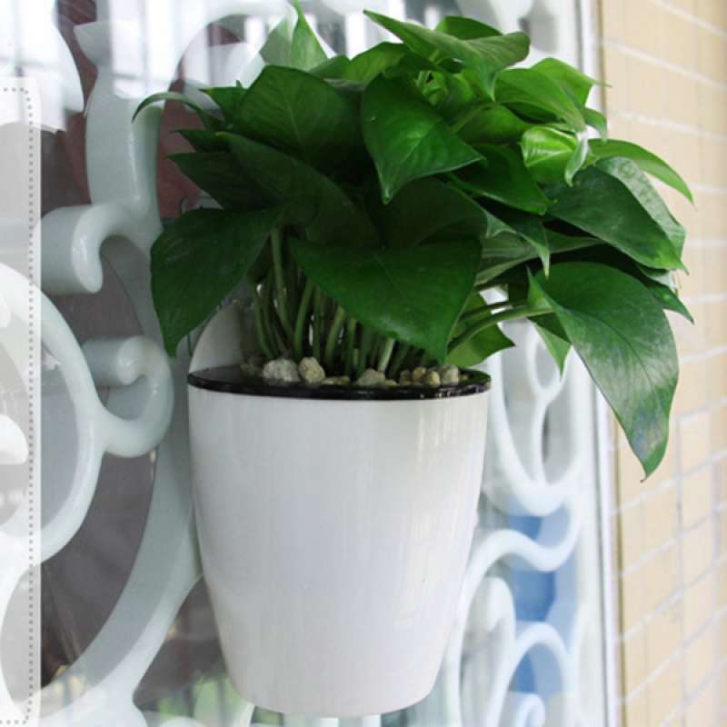 Jual 6pcs Wall Hanging Self Watering Planter Modern Decorative Planter Pot For All House Plants Flowers S Online September 2020 Blibli Com