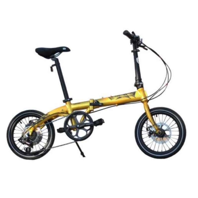 dahon ion