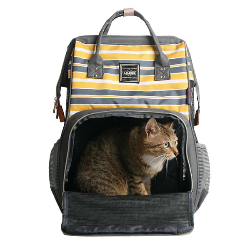 cat carrying backpack