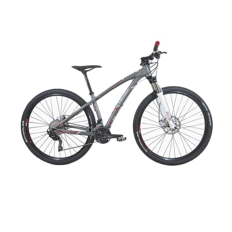 siskiu 6 29er
