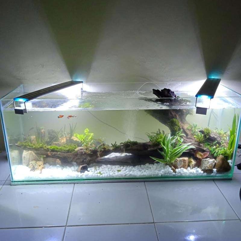 aquascape 1 meter