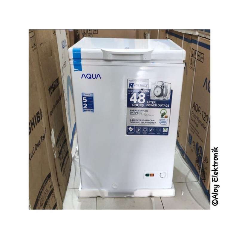 dry aging fridge