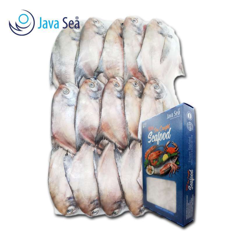 Jual Java Sea Ikan Bawal Putih Beku Utuh Isi 15 Ekor Per Pack 1kg Online Mei 2021 Blibli