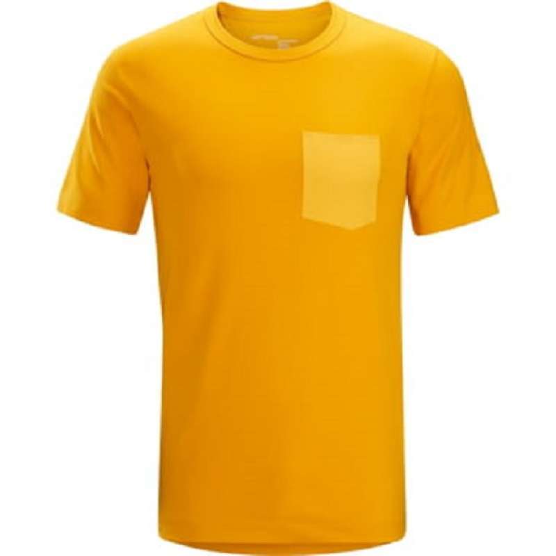 Arcteryx anzo shirt online