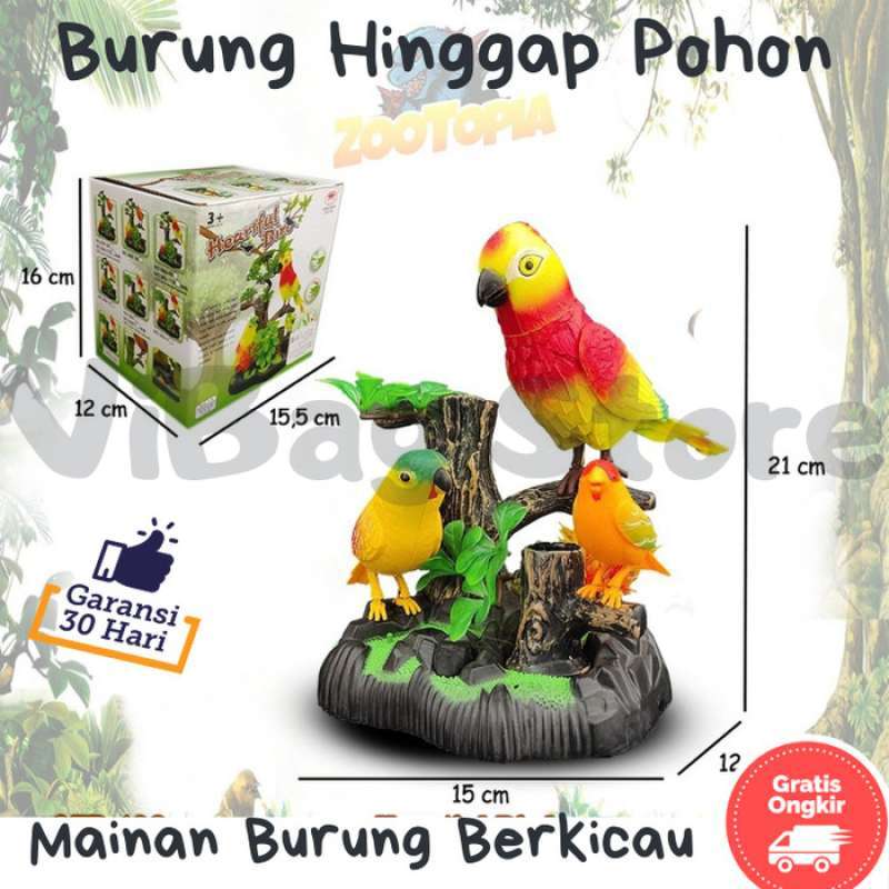 9700 Gambar Burung Berkicau HD