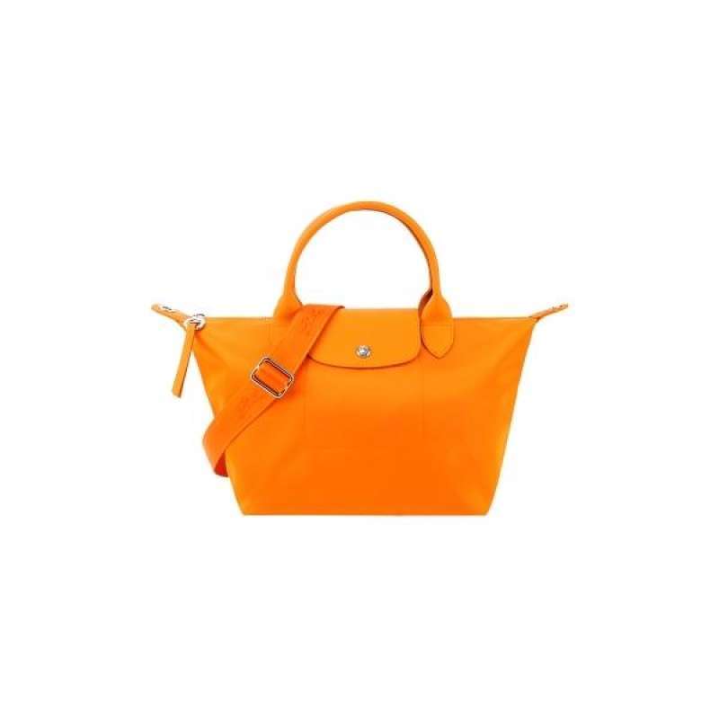 longchamp latest bag