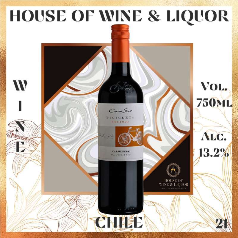 Promo Cono Sur Bicicleta Carmenere ( Red Wine ) 750 ML di ...