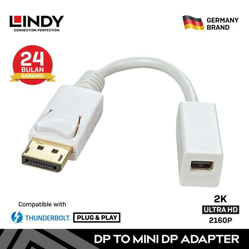 Jual LINDY 41060 DisplayPort (DP) to 