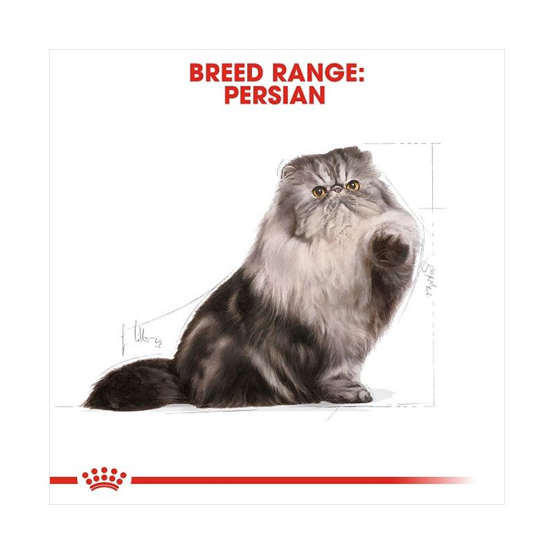 Jual Royal Canin Adult Persian Makanan Kucing Persia Dewasa 400 G